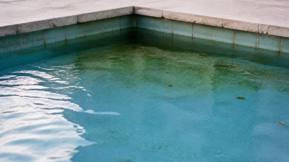 Algues dans la piscine : stopper leur développement efficacement