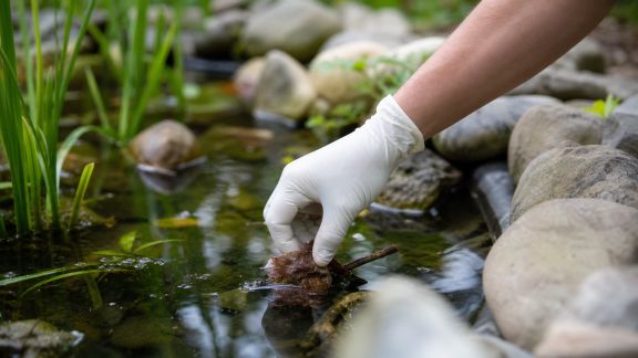 7 gestes simples pour limiter les résidus organiques dans le bassin