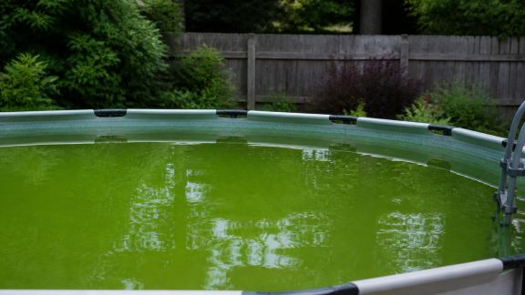 Que faire si l’eau de votre piscine hors-sol vire au vert ?